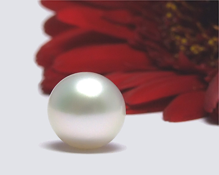 Weisse Perlen - Aperlea